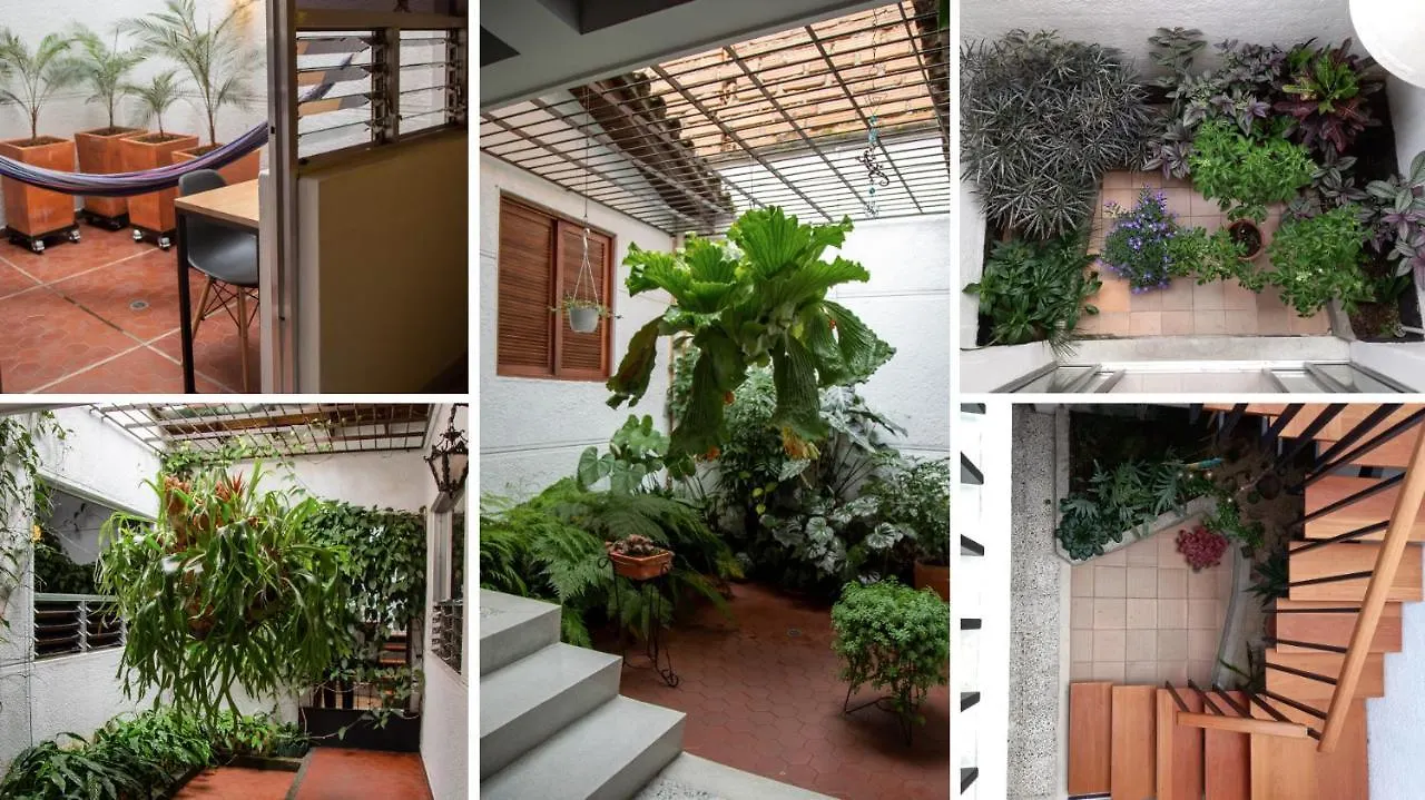 Casa De Lola Hotel Medellin