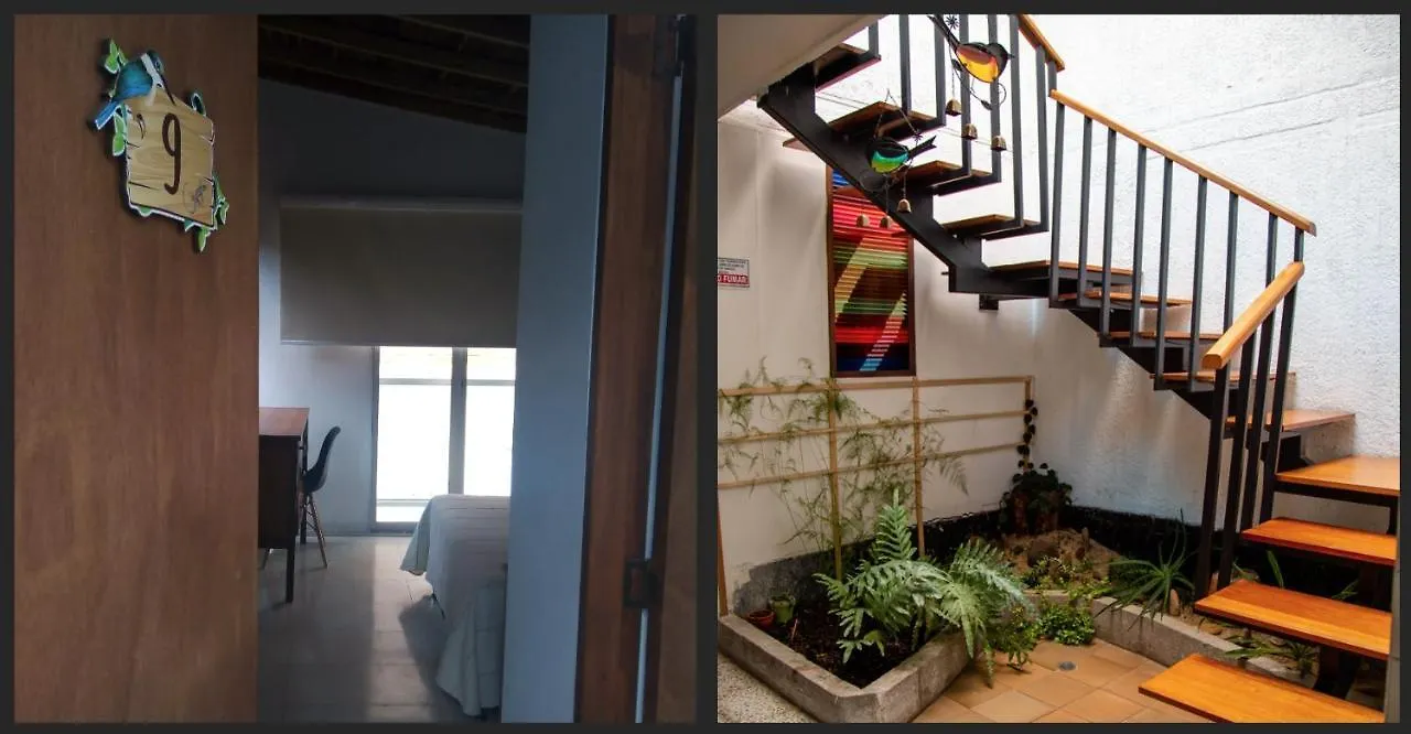 Casa De Lola Hotel Medellin Colombia