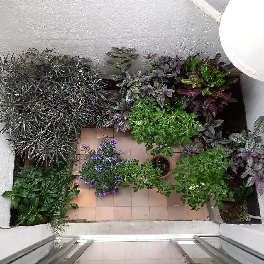 Casa De Lola Hotel Medellin 0*,