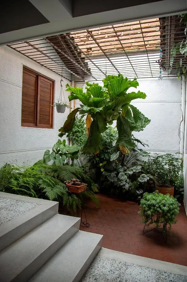 Casa De Lola Hotel Medellin Guest house
